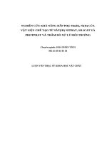 Nghiên cứu khả năng hấp phụ Mn(II), Ni(II) của vật liệu chế tạo từ sắt(III) nitrat, silicat và phophat và thăm dò xử lý môi trường 