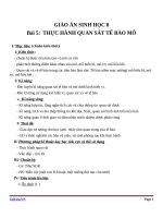 Giáo án Sinh học 8 bài 5: Thực hành quan sát tế bào và mô