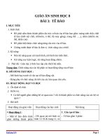 Giáo án Sinh học 8 bài 3: Tế bào