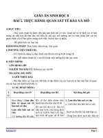 Giáo án Sinh học 8 bài 5: Thực hành quan sát tế bào và mô