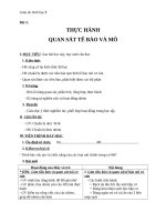 Giáo án Sinh học 8 bài 5: Thực hành quan sát tế bào và mô