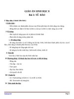 Giáo án Sinh học 8 bài 3: Tế bào