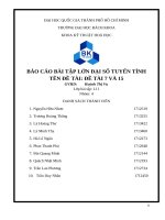 BÁO CÁO BÀI TẬP LỚN ĐẠI SỐ TUYẾN TÍNH