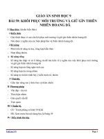 Giáo án Sinh học 9 bài 59: Khôi phục môi trường và gìn giữ thiên nhiên hoang dã