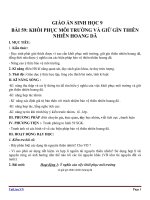 Giáo án Sinh học 9 bài 59: Khôi phục môi trường và gìn giữ thiên nhiên hoang dã