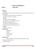 Giáo án Sinh học 8 bài 47: Đại não