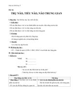 Giáo án Sinh học 8 bài 46: Trụ não, tiểu não, não trung gian