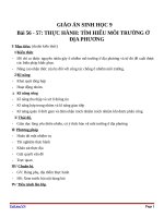 Giáo án Sinh học 9 bài 56: Thực hành tìm hiểu tình hình môi trường ở địa phương