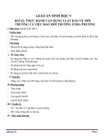 Giáo án Sinh học 9 bài 62: Thực hành vận dụng luật bảo vệ môi trường vào việc bảo vệ môi trường ở địa phương