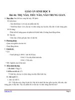 Giáo án Sinh học 8 bài 46: Trụ não, tiểu não, não trung gian