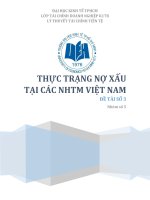 THỰC TRẠNG NỢ XẤU TẠI CÁC NHTM VIỆT NAM ĐỀ TÀI SỐ 3