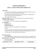 Giáo án Sinh học 8 bài 51: Cơ quan phân tích thính giác