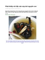 Phát khiếp với đặc sản súp dơi nguyên con