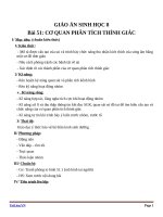 Giáo án Sinh học 8 bài 51: Cơ quan phân tích thính giác