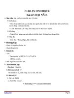 Giáo án Sinh học 8 bài 47: Đại não