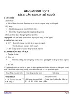 Giáo án Sinh học 8 bài 2: Cấu tạo cơ thể người