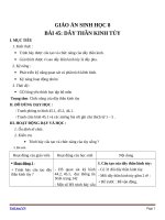 Giáo án Sinh học 8 bài 45: Dây thần kinh tủy