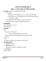 Giáo án Sinh học 8 bài 2: Cấu tạo cơ thể người