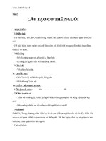 Giáo án Sinh học 8 bài 2: Cấu tạo cơ thể người