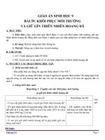 Giáo án Sinh học 9 bài 59: Khôi phục môi trường và gìn giữ thiên nhiên hoang dã