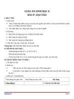 Giáo án Sinh học 8 bài 47: Đại não