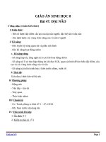 Giáo án Sinh học 8 bài 47: Đại não