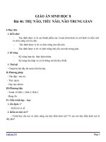 Giáo án Sinh học 8 bài 46: Trụ não, tiểu não, não trung gian