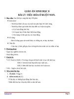 Giáo án Sinh học 8 bài 28: Tiêu hóa ở ruột non