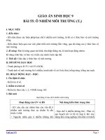 Giáo án Sinh học 9 bài 55: Ô nhiễm môi trường ( tiếp theo)