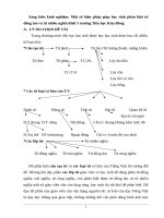 SKKN phan biet tu dong am tu nhieu nghia o lop 5