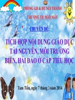Chuyen de tich hop noi dung GD tai nguyen moi truong bien hai dao trong mon tieng viet TH