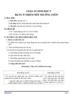 Giáo án Sinh học 9 bài 55: Ô nhiễm môi trường ( tiếp theo)