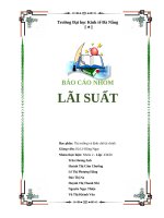Lãi suất Việt Nam từ năm 2000 đến  2017