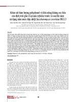 Khảo sát hàm lượng polyphenol và khả năng kháng oxy hóa của dịch trái giác (Cayratia trifolia) trước và sau lên men sử dụng nấm men chịu nhiệt Saccharomyces cerevisiae HG1.3