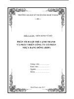 Phân tích lợi thế cạnh tranh và phát triển   nhựa rạng đông   RDP