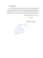 NGHIÊN cứu PHƯƠNG PHÁP tự ĐỘNG xử lý ẢNH VIỄN THÁM và xây DỰNG CSDL PHÂN TÍCH dữ LIỆU KHÔNG GIAN về HIỆN TƯỢNG đảo NHIỆT tại TPHCM 