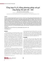 Tổng hợp Fe2O3 bằng phương pháp solgel ứng dụng cho pin sắt  khí