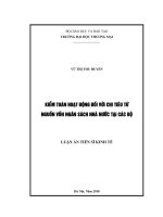 Kiểm toán hoạt động đối với chi tiêu từ nguồn vốn ngân sách nhà nước tại các Bộ (Luận án tiến sĩ)