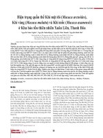 Hiện trạng quần thể Khỉ mặt đỏ (Macaca arctoides), Khỉ vàng (Macaca mulatta) và Khỉ mốc (Macaca asamensis) ở Khu bảo tồn thiên nhiên Xuân Liên, Thanh Hóa