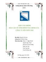 Báo cáo tình hình tài chính của công ty DNI