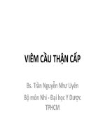 VIÊM cầu THẬN cấp y 4