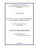 Tác động của di cư nội địa tới đời sống người cao tuổi Việt Nam (Luận án tiến sĩ)