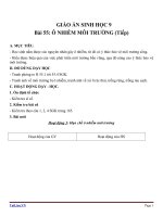 Giáo án Sinh học 9 bài 55: Ô nhiễm môi trường ( tiếp theo)