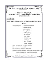 BAO CAO THUC TE   TRAI lợn RỪNG