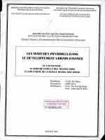 Les marchés informels dans le développement urbain dhanoi (tt) 