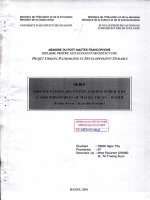 Mise en valeur des petits jardins publics de larrondissemens de hai ba trung   hanoi (etude de car le jardin pasteur) (tt) 