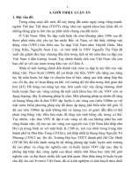 Xây dựng chương trình huấn luyện mô phỏng độ cao cho đội tuyển nam xe đạp đường trường việt nam (tt) 