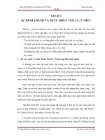 chu de 3 su hinh thanh va phat trien tam ly, y thuc