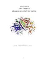 LÊN MEN rượu NHỜ xúc tác ENZYME