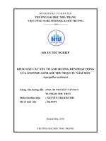 Khảo sát các yếu tố ảnh hưởng đến hoạt động của enzyme amylase thu nhận từ nấm mốc aspergillus aculeatus 